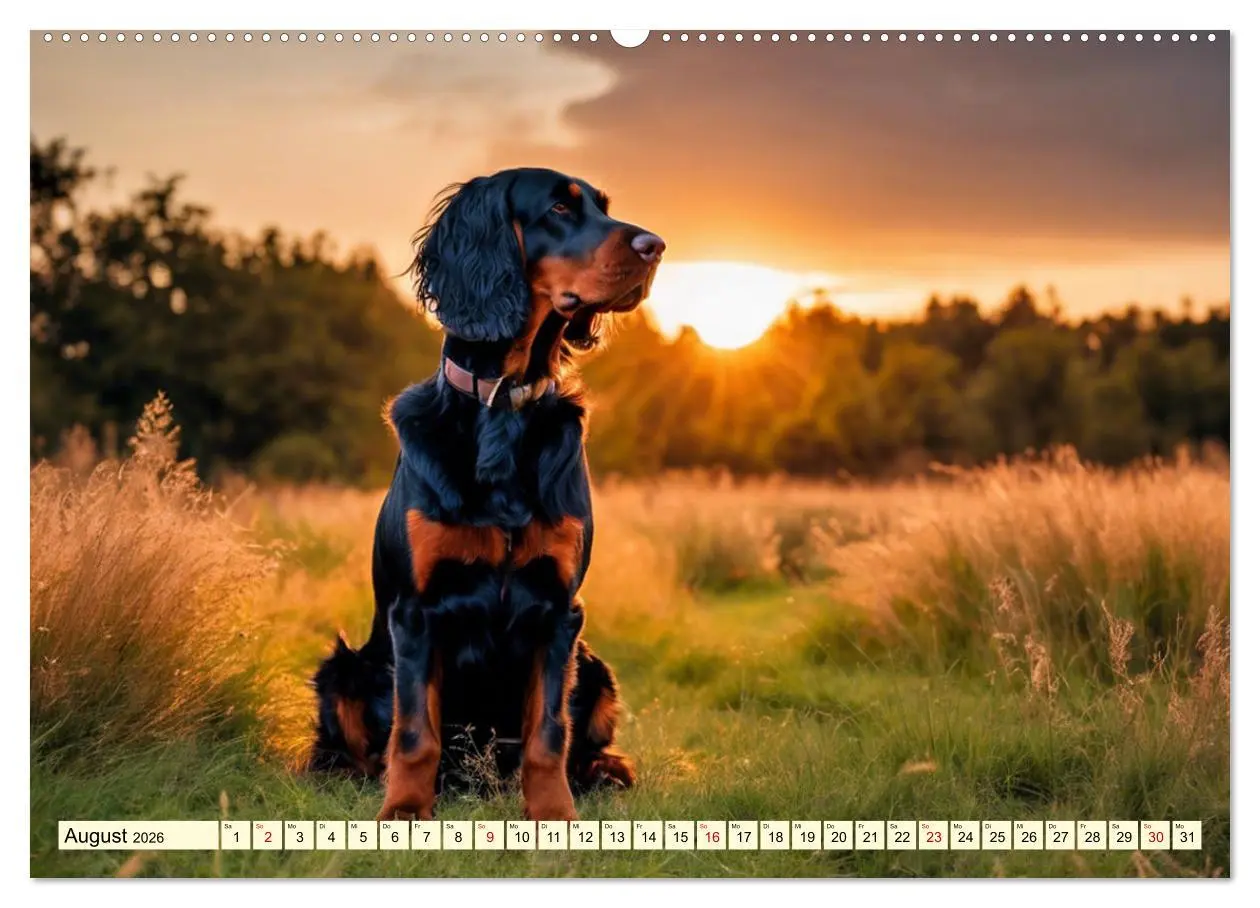 Bild: 9783457407783 | Gordon Setter - elegantes Kraftpaket (Wandkalender 2026 DIN A2...