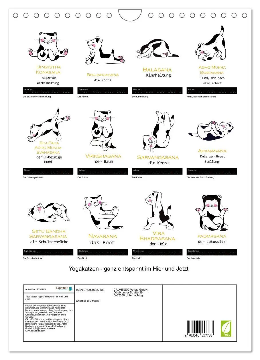 Bild: 9783516357783 | Yogakatzen - ganz entspannt im Hier und Jetzt (Wandkalender 2026...