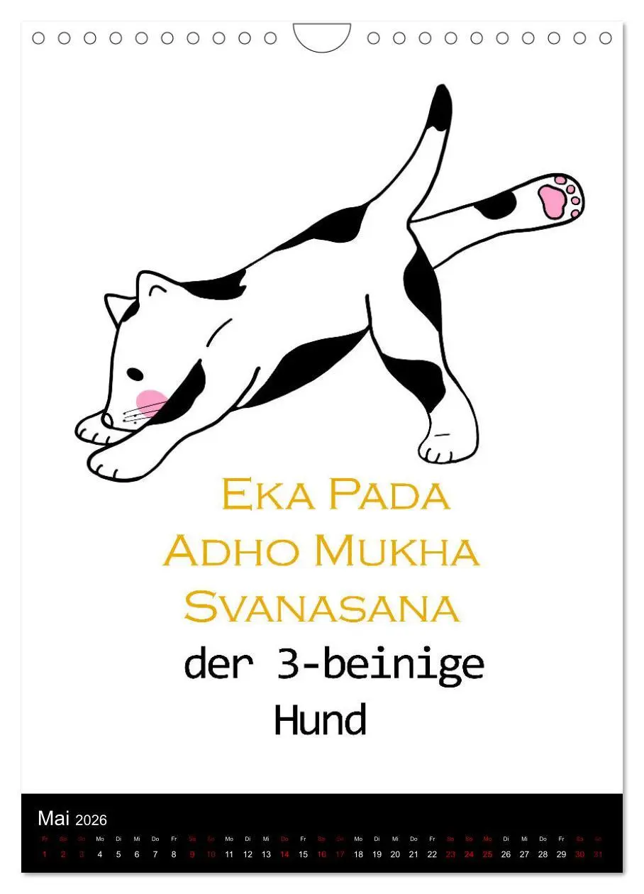 Bild: 9783516357783 | Yogakatzen - ganz entspannt im Hier und Jetzt (Wandkalender 2026...
