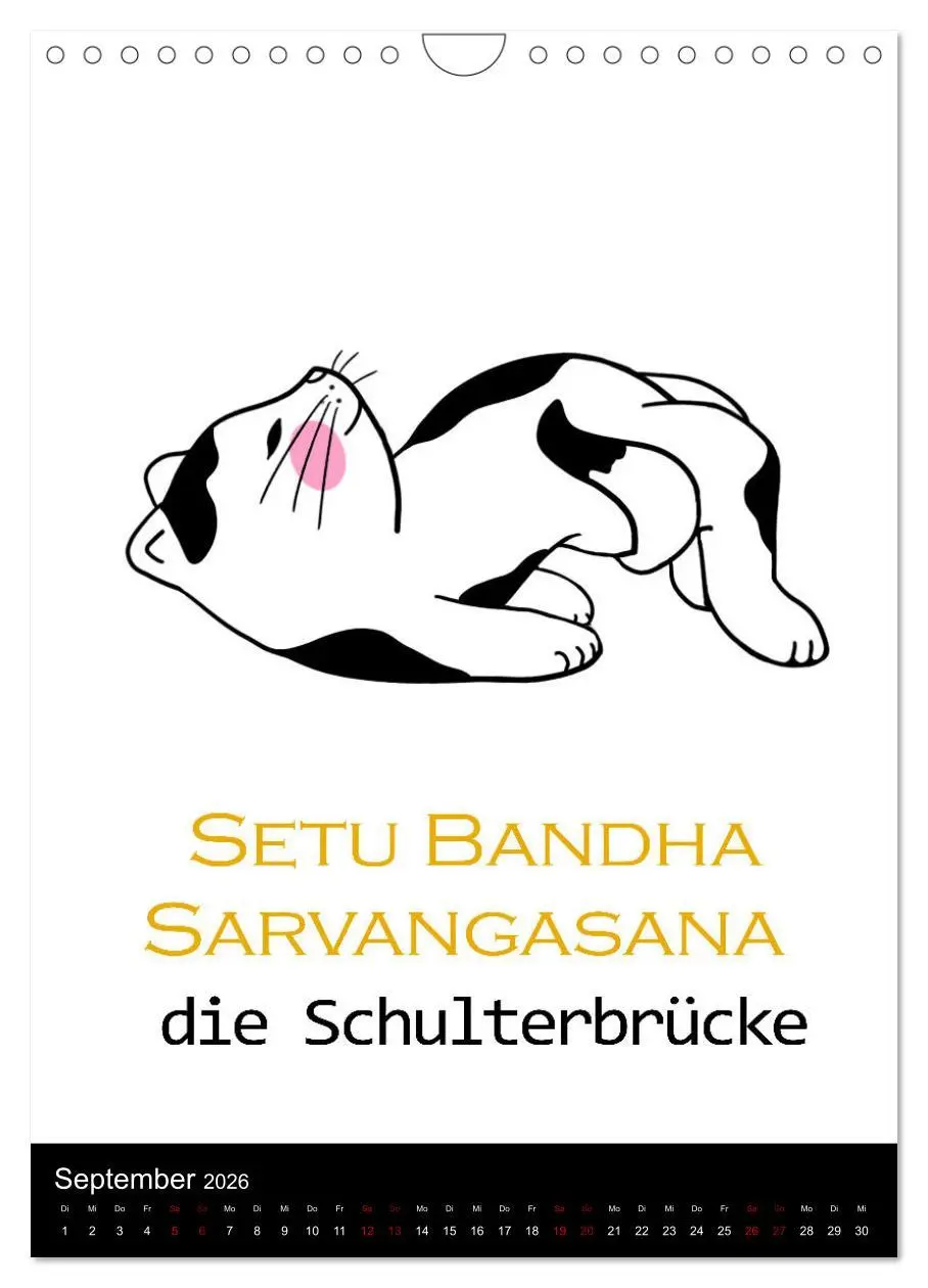 Bild: 9783516357783 | Yogakatzen - ganz entspannt im Hier und Jetzt (Wandkalender 2026...