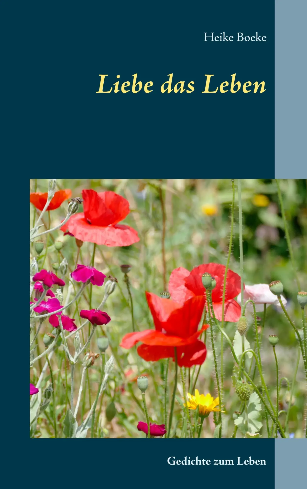 Cover: 9783749467983 | Liebe das Leben | Gedichte zum Leben | Heike Boeke | Taschenbuch