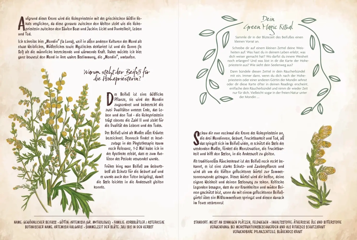 Bild: 9783868267983 | Tarot &amp; Grüne Magie | Chiara Butendeich | Buch | 160 S. | Deutsch