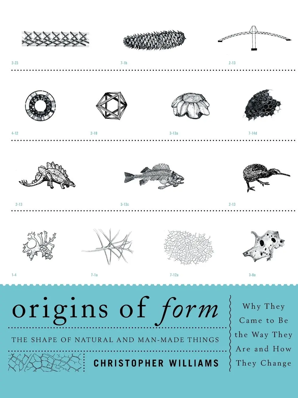 Cover: 9781589798083 | Origins of Form | Christopher Williams | Taschenbuch | Englisch | 2013