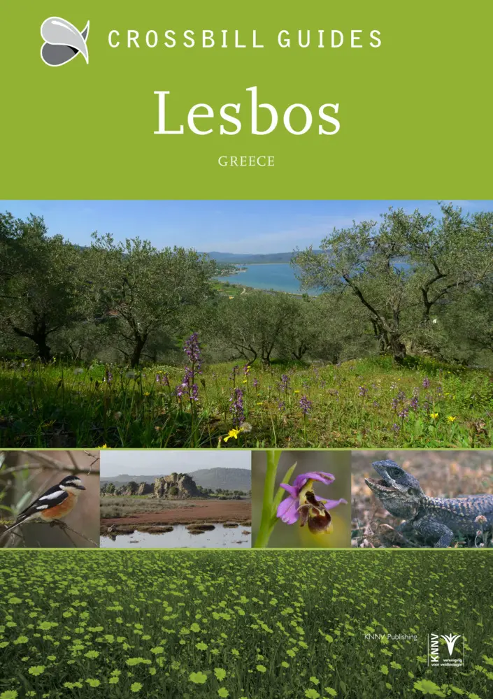 Cover: 9789491648083 | Lesbos | Greece | Alex Tabak | Taschenbuch | Englisch | 2023