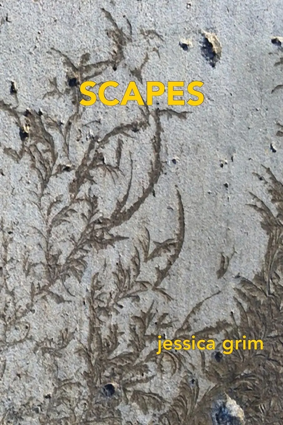 Cover: 9781963908183 | Scapes | Jessica Grim | Taschenbuch | Englisch | 2024 | Spuyten Duyvil