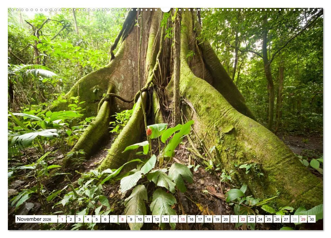 Bild: 9783457298183 | Costa Rica (hochwertiger Premium Wandkalender 2026 DIN A2 quer),...