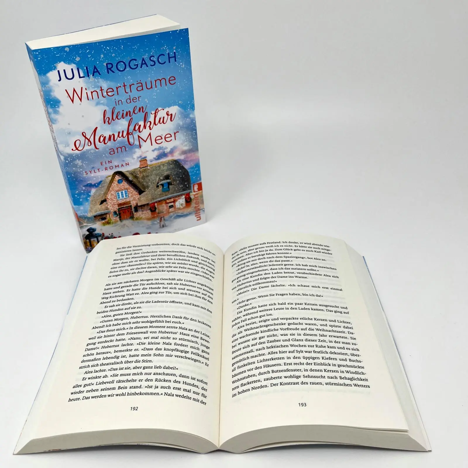 Bild: 9783548068183 | Winterträume in der kleinen Manufaktur am Meer | Julia Rogasch | Buch