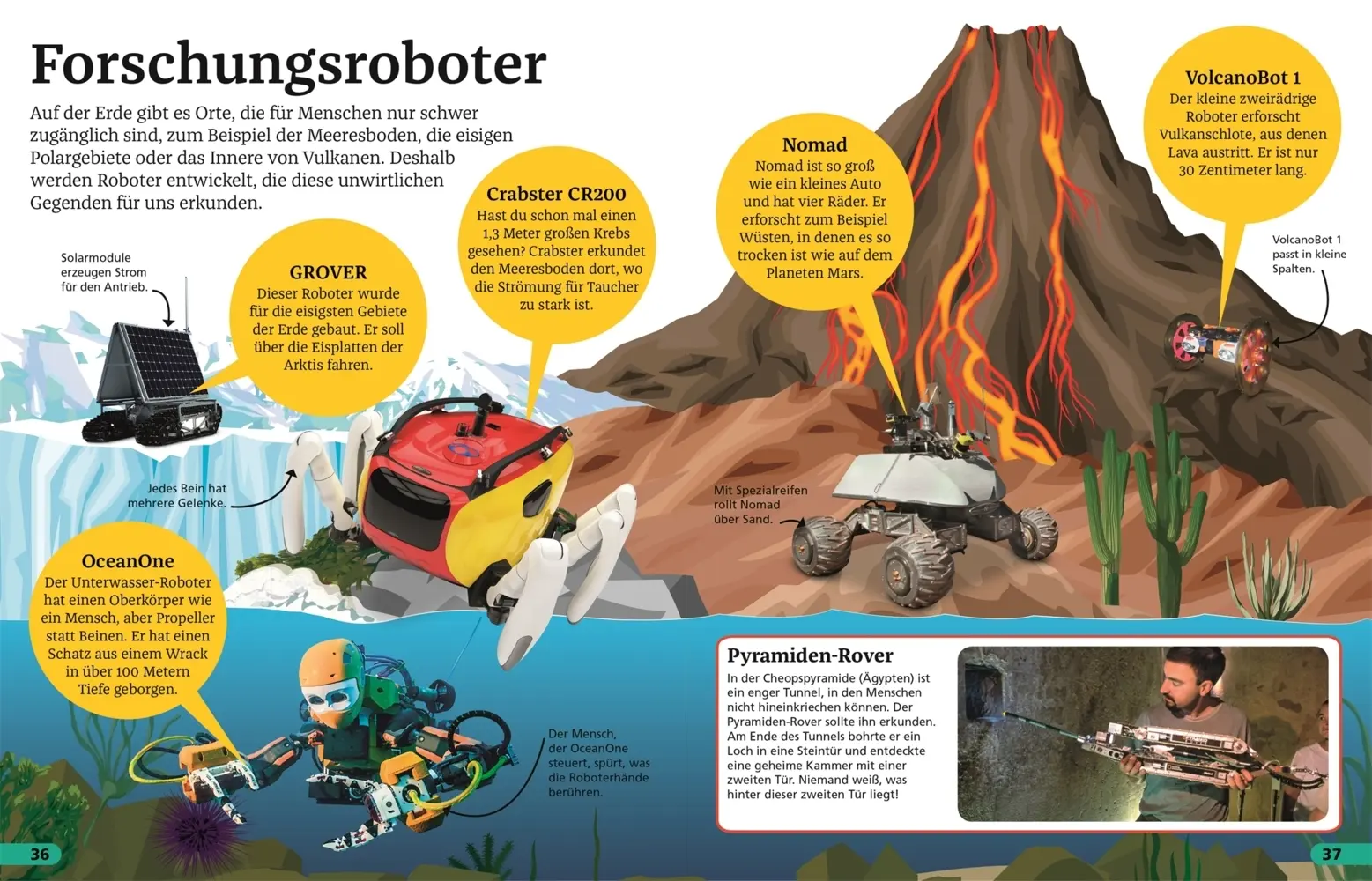 Bild: 9783831038183 | Superchecker! - Roboter | Nathan Lepora | Taschenbuch | 64 S. | 2019