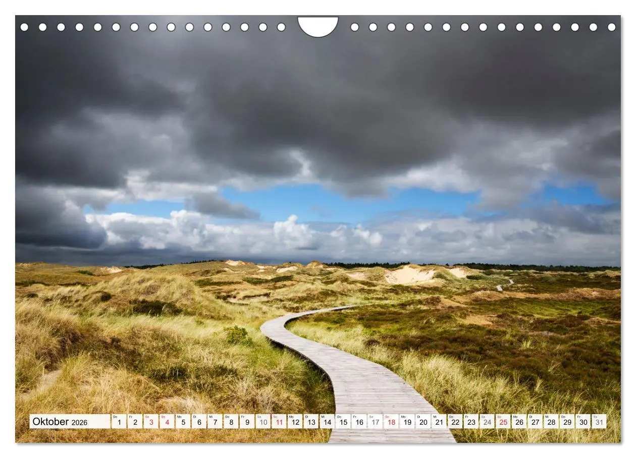 Bild: 9783516068283 | Amrum. Natur und Landschaften (Wandkalender 2026 DIN A4 quer),...