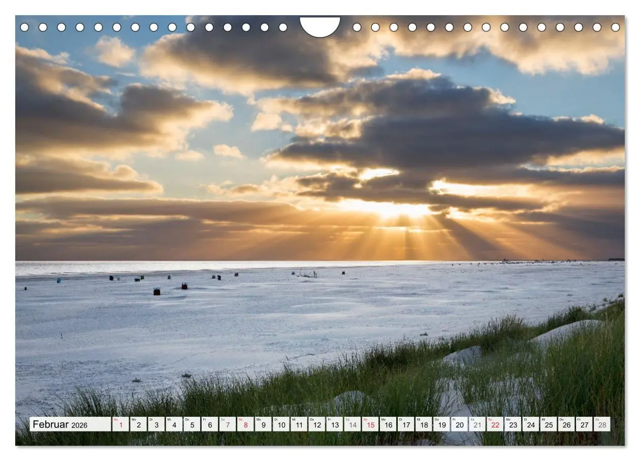 Bild: 9783516068283 | Amrum. Natur und Landschaften (Wandkalender 2026 DIN A4 quer),...