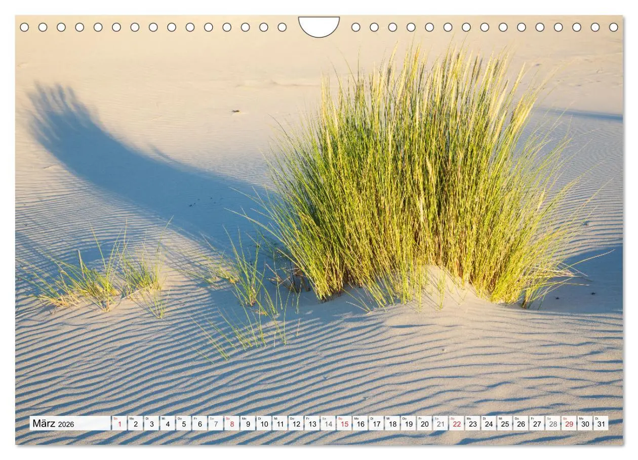 Bild: 9783516068283 | Amrum. Natur und Landschaften (Wandkalender 2026 DIN A4 quer),...