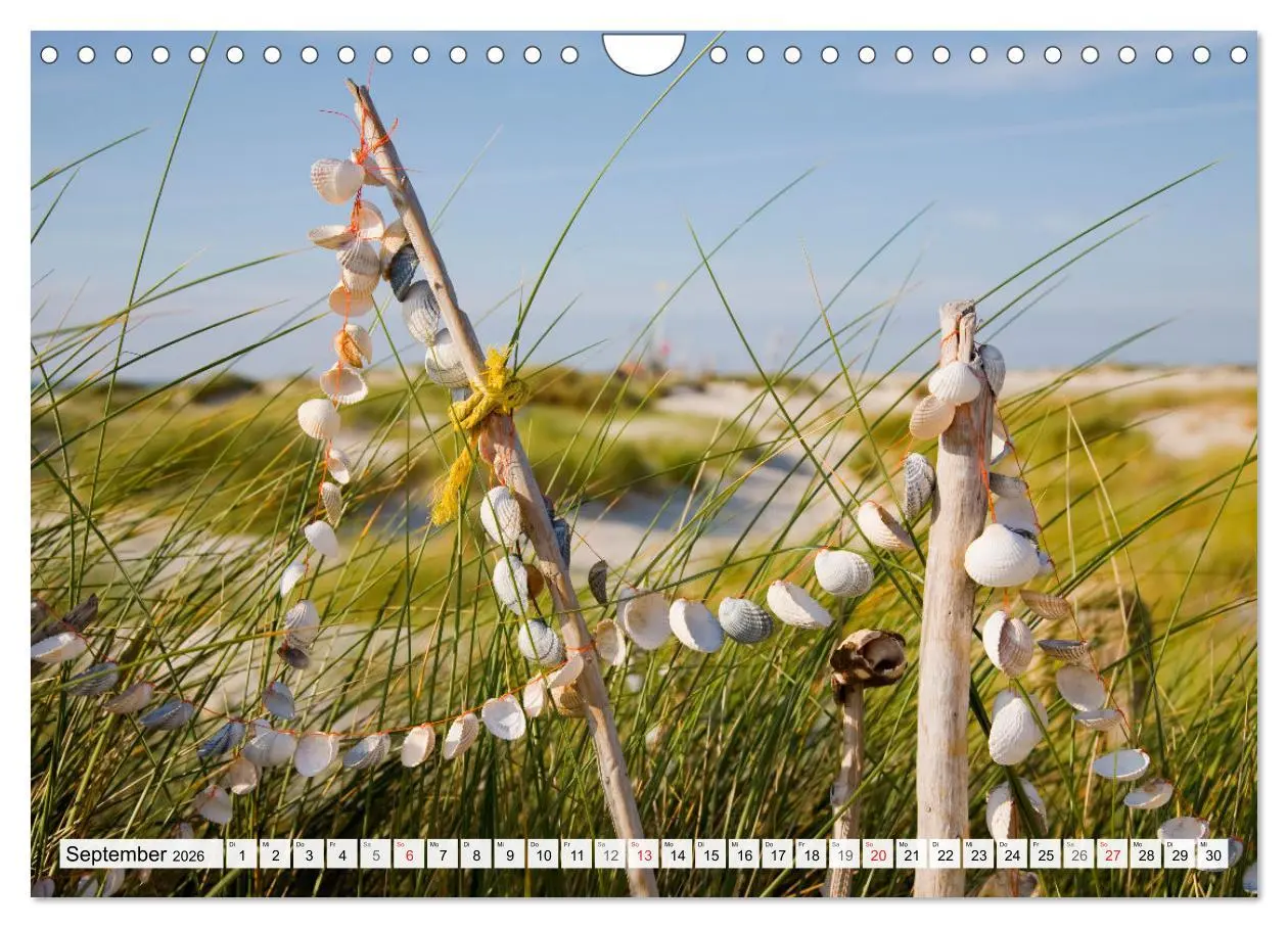 Bild: 9783516068283 | Amrum. Natur und Landschaften (Wandkalender 2026 DIN A4 quer),...