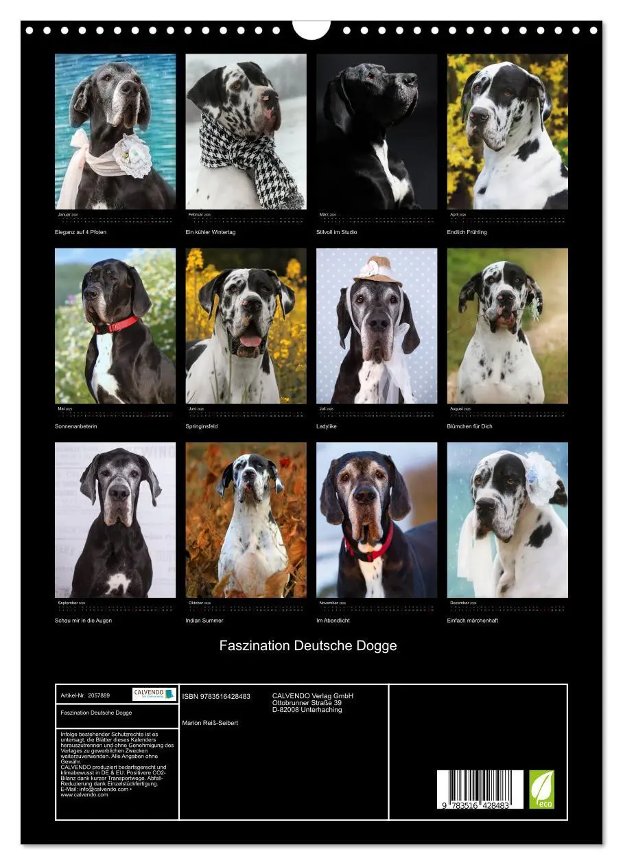 Bild: 9783516428483 | Faszination Deutsche Dogge (Wandkalender 2026 DIN A3 hoch),...