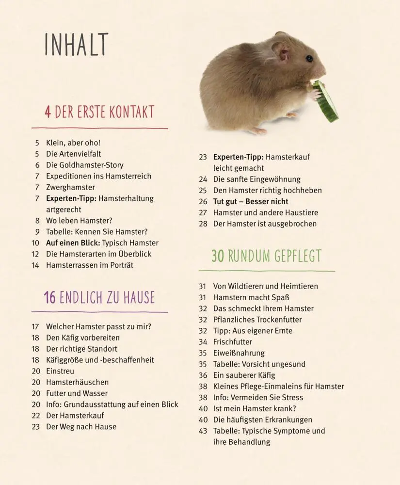 Bild: 9783833848483 | Hamster | So fühlen sie sich rundum wohl | Peter Fritzsche | Buch