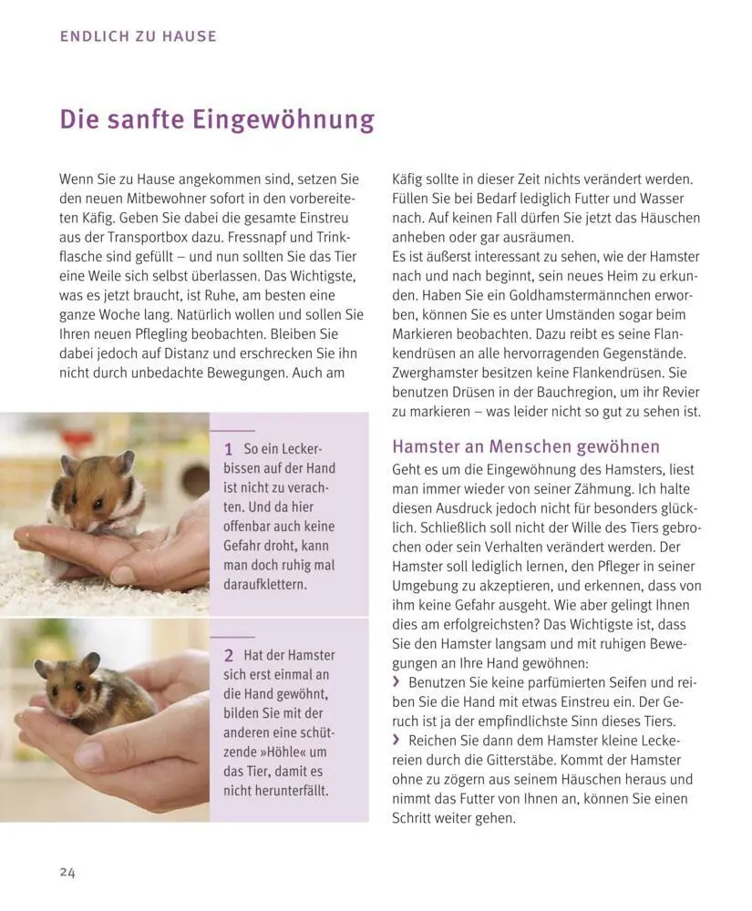 Bild: 9783833848483 | Hamster | So fühlen sie sich rundum wohl | Peter Fritzsche | Buch
