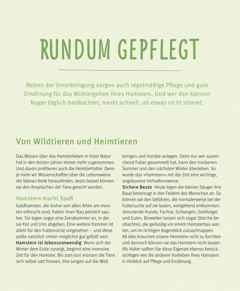 Bild: 9783833848483 | Hamster | So fühlen sie sich rundum wohl | Peter Fritzsche | Buch