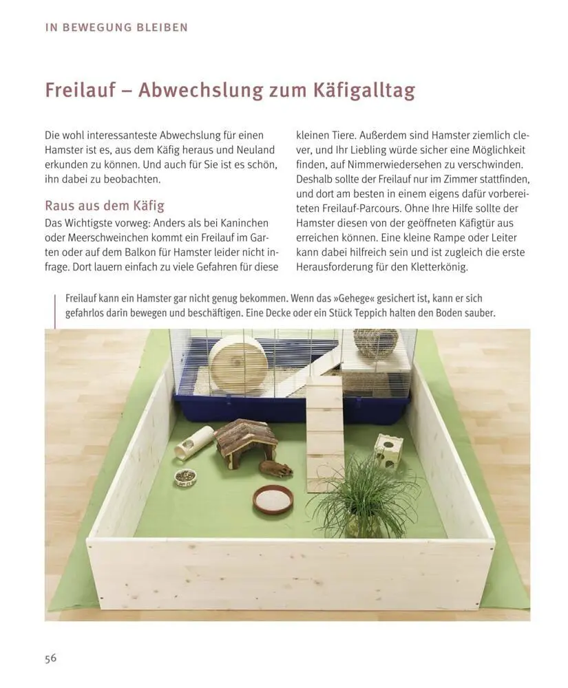 Bild: 9783833848483 | Hamster | So fühlen sie sich rundum wohl | Peter Fritzsche | Buch