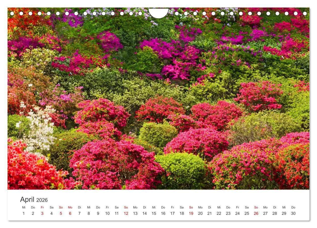 Bild: 9783457638583 | Gärten in Japan (Wandkalender 2026 DIN A4 quer), CALVENDO...