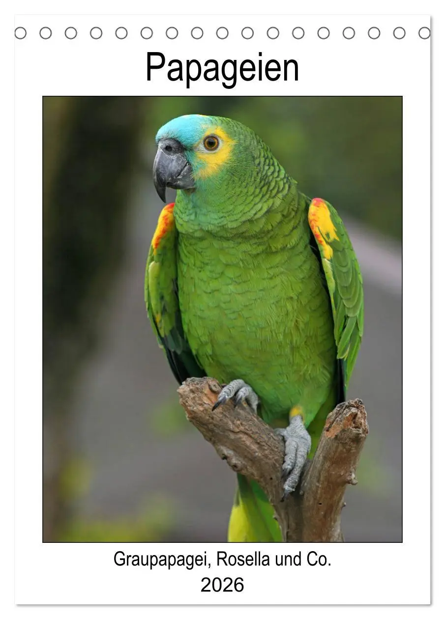 Cover: 9783516408683 | Papageien - Graupapagei, Rosella und Co. (Tischkalender 2026 DIN A5...