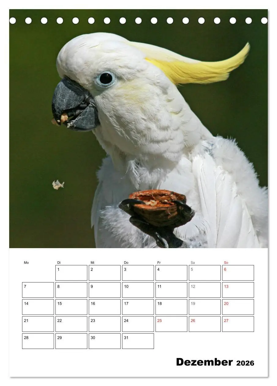 Bild: 9783516408683 | Papageien - Graupapagei, Rosella und Co. (Tischkalender 2026 DIN A5...
