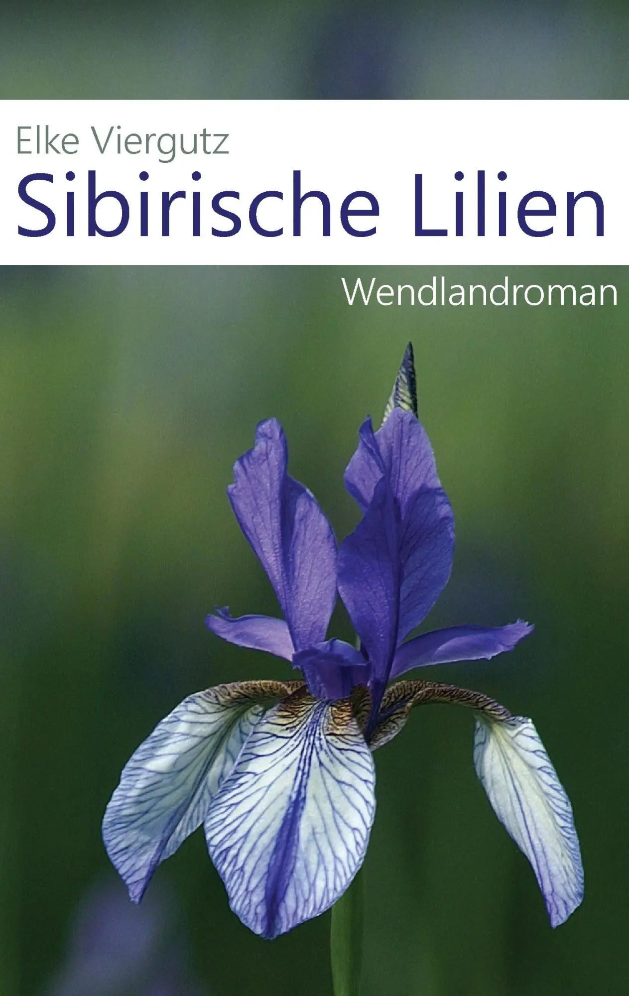 Cover: 9783734758683 | Sibirische Lilien | Wendlandroman | Elke Viergutz | Taschenbuch | 2015