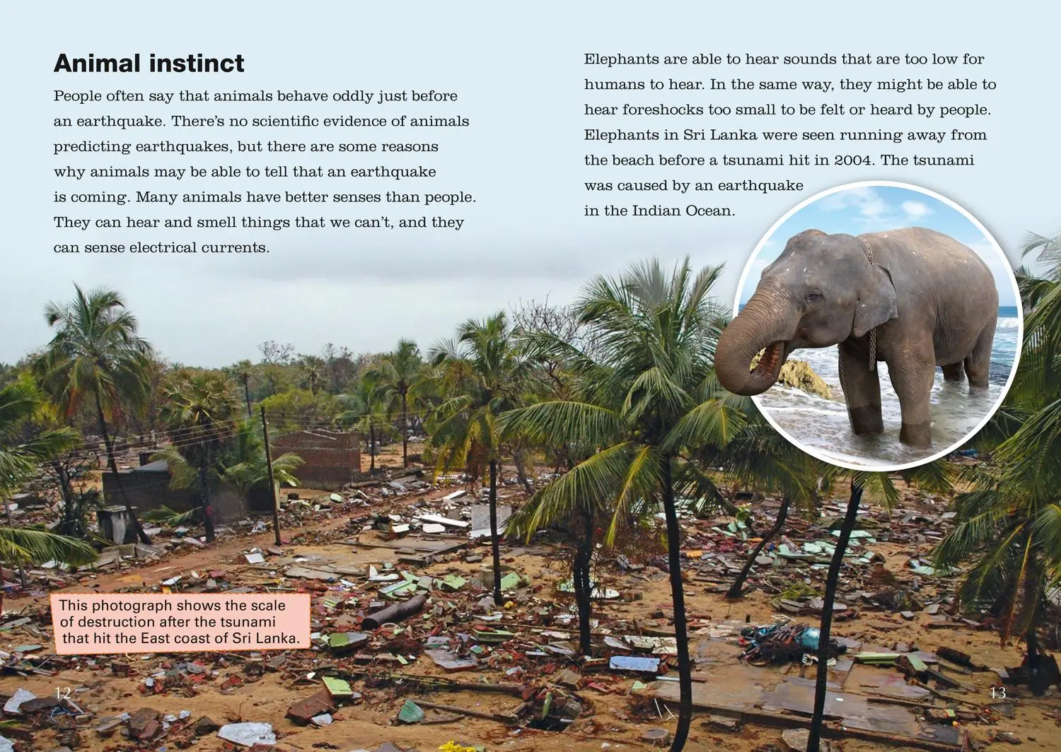 Bild: 9780008208783 | Living in an Earthquake Zone | Band 13/Topaz | Catriona Clarke | Buch