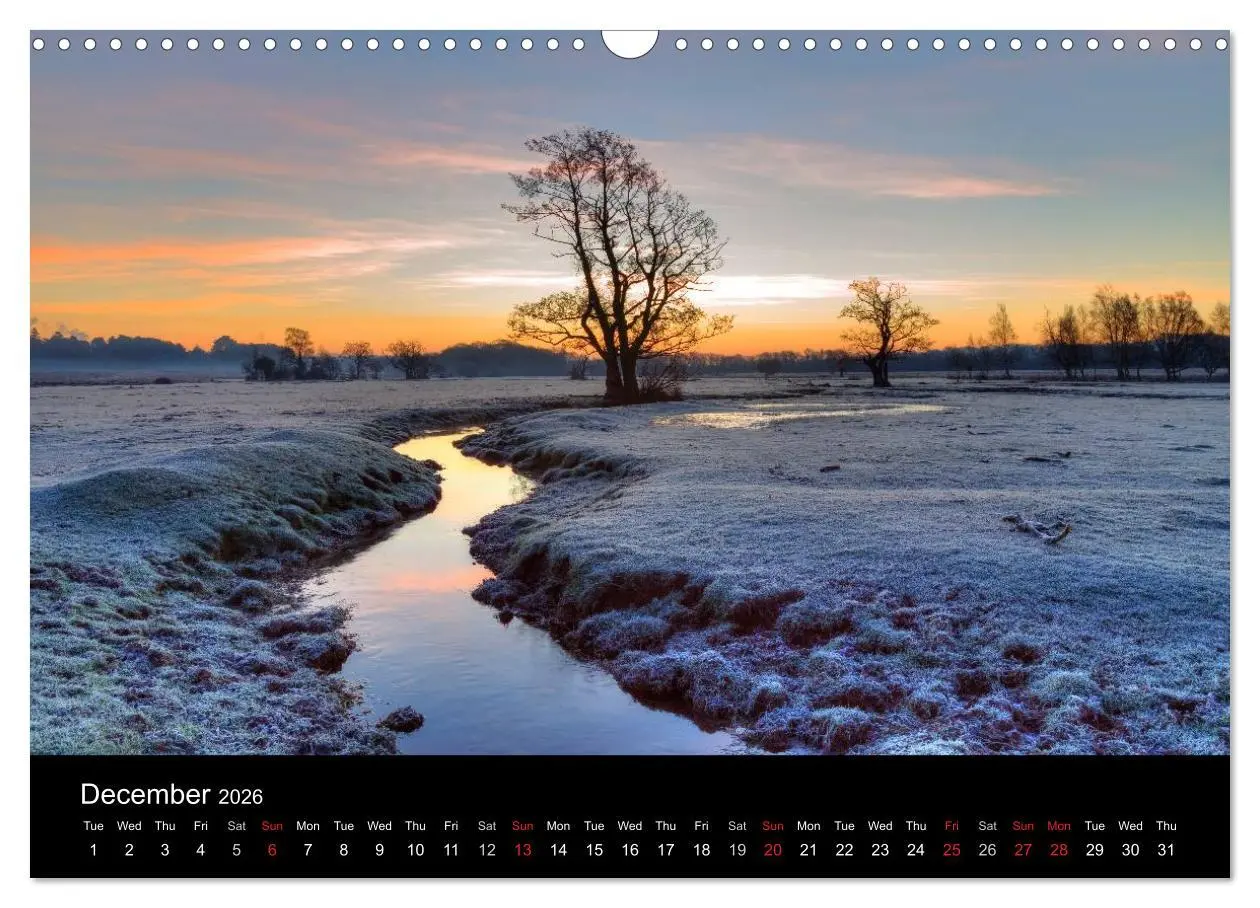 Bild: 9783516568783 | New Forest Hampshire (Wall Calendar 2026 DIN A3 landscape),...
