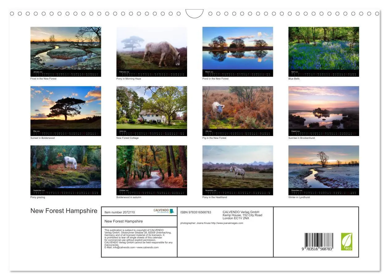 Bild: 9783516568783 | New Forest Hampshire (Wall Calendar 2026 DIN A3 landscape),...