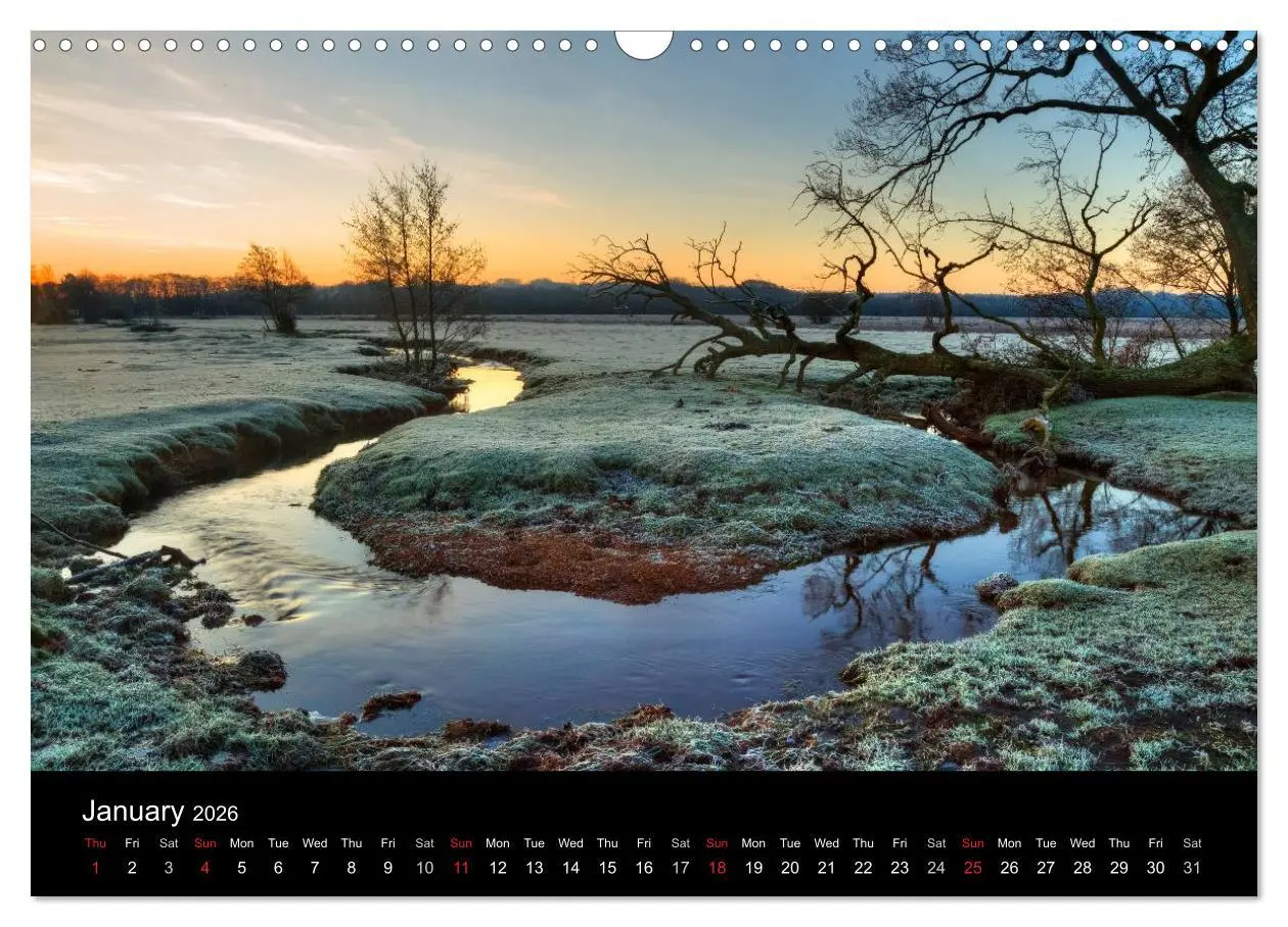 Bild: 9783516568783 | New Forest Hampshire (Wall Calendar 2026 DIN A3 landscape),...