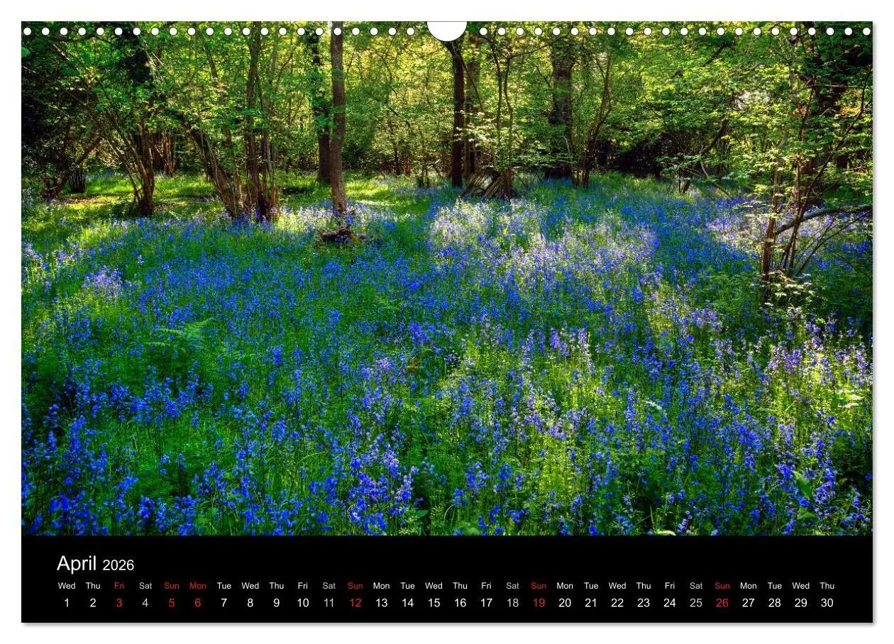 Bild: 9783516568783 | New Forest Hampshire (Wall Calendar 2026 DIN A3 landscape),...