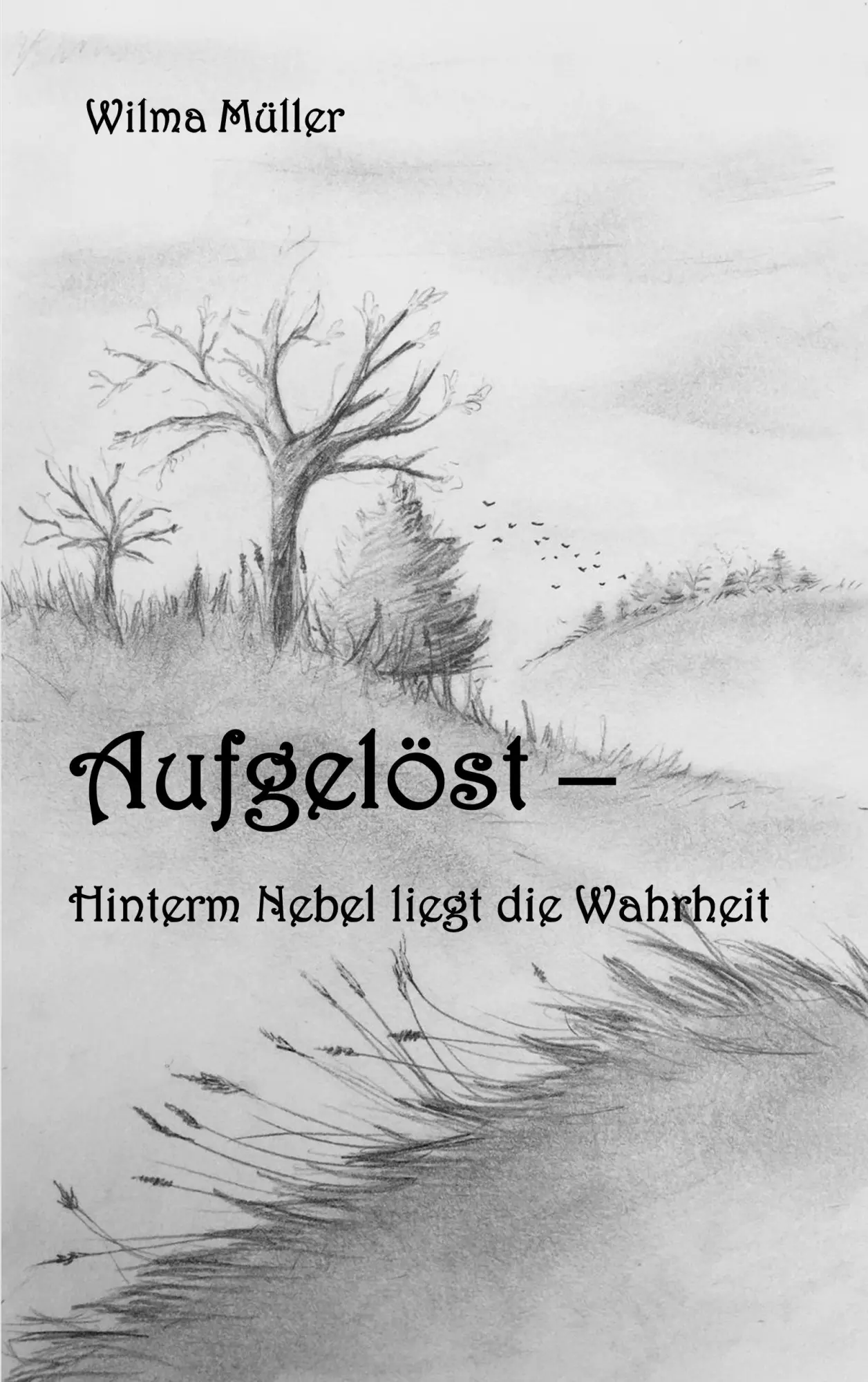 Cover: 9783748158783 | Aufgelöst | Hinterm Nebel liegt die Wahrheit | Wilma Müller | Buch