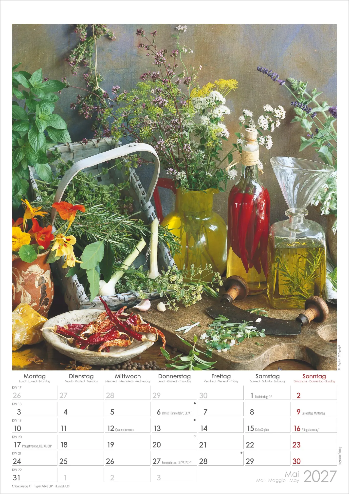 Bild: 4069095018983 | Kräuter &amp; Gewürze 2027 | Neumann Verlage GmbH &amp; Co KG | Kalender