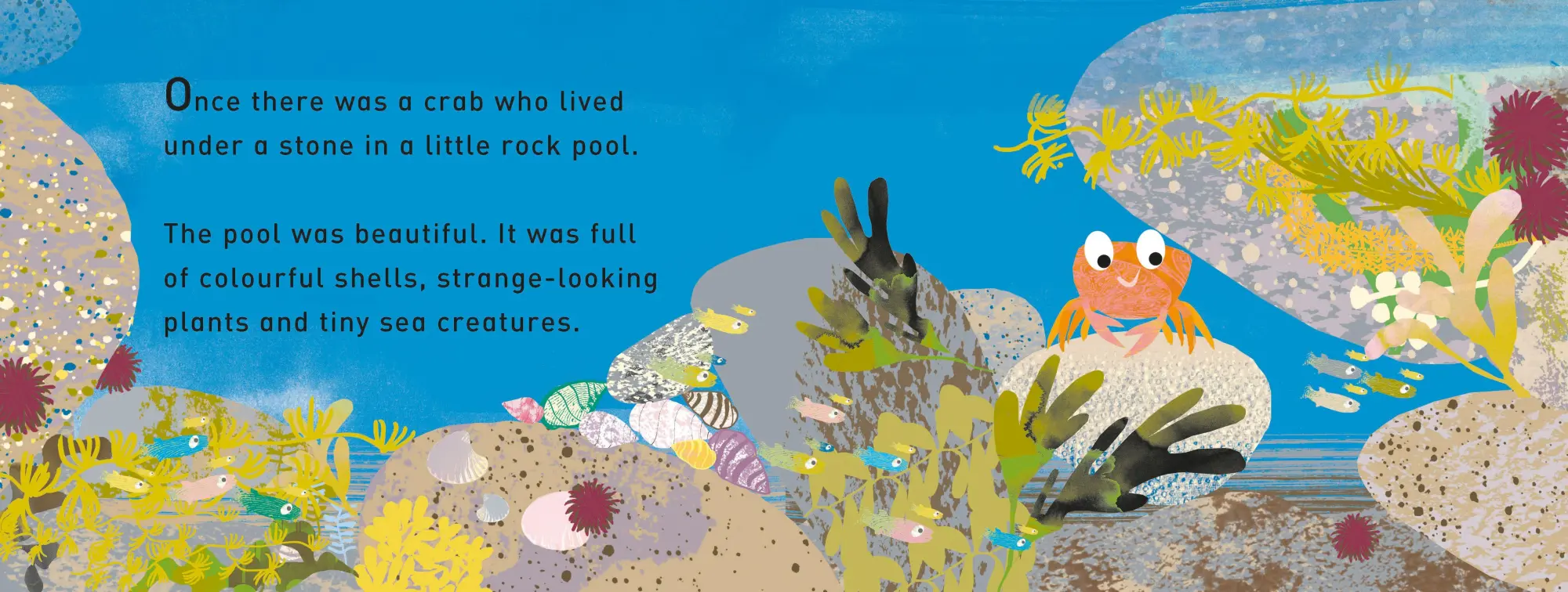 Bild: 9781529098983 | TIP TAP Went the Crab | A First Book of Counting | Tim Hopgood | Buch