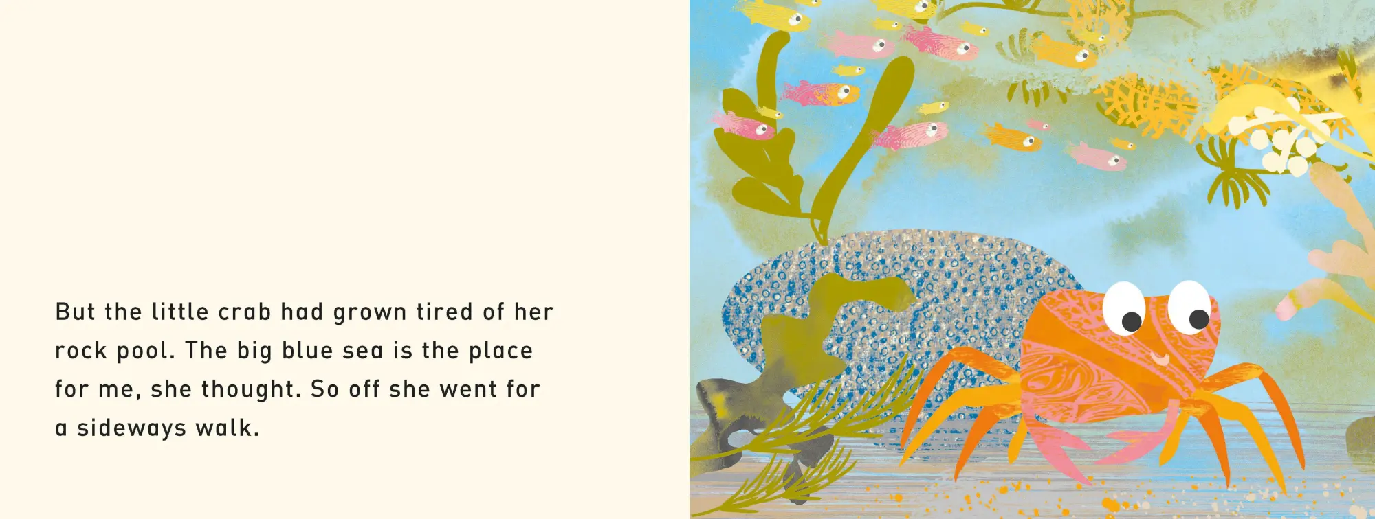 Bild: 9781529098983 | TIP TAP Went the Crab | A First Book of Counting | Tim Hopgood | Buch