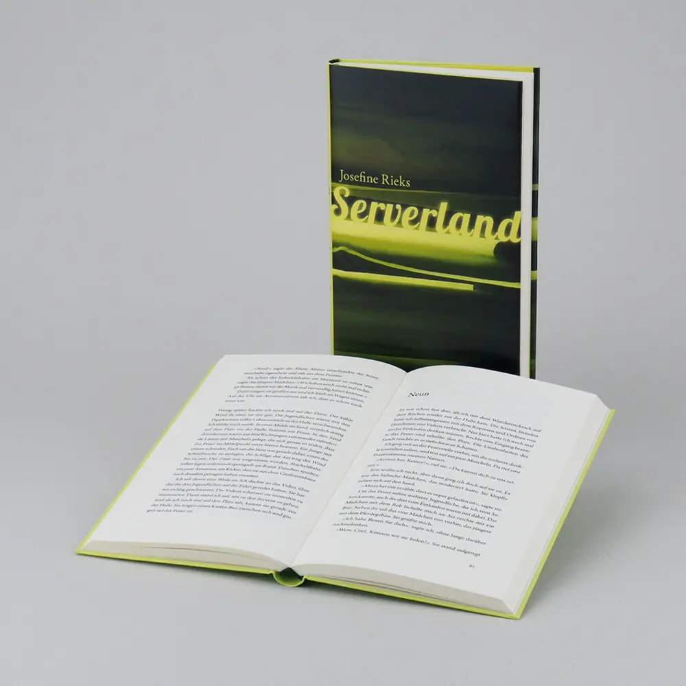 Bild: 9783446258983 | Serverland | Roman | Josefine Rieks | Buch | 176 S. | Deutsch | 2018