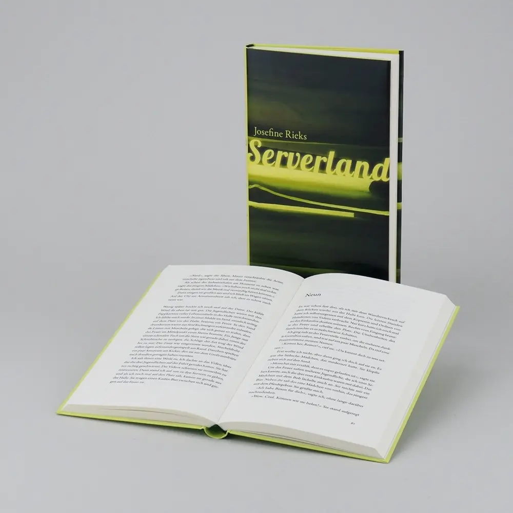 Bild: 9783446258983 | Serverland | Roman | Josefine Rieks | Buch | 176 S. | Deutsch | 2018