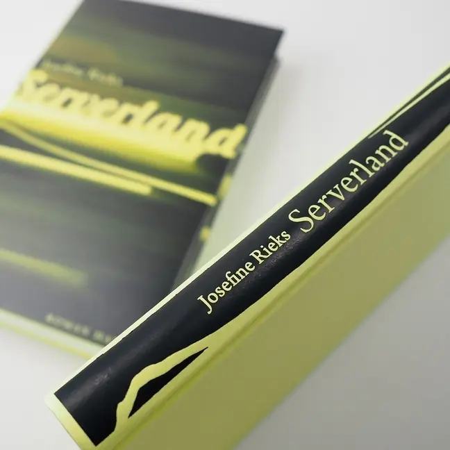 Bild: 9783446258983 | Serverland | Roman | Josefine Rieks | Buch | 176 S. | Deutsch | 2018