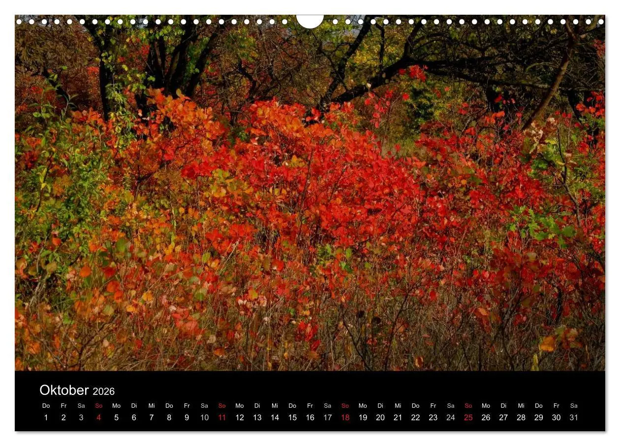 Bild: 9783516168983 | Donaudelta (Wandkalender 2026 DIN A3 quer), CALVENDO Monatskalender