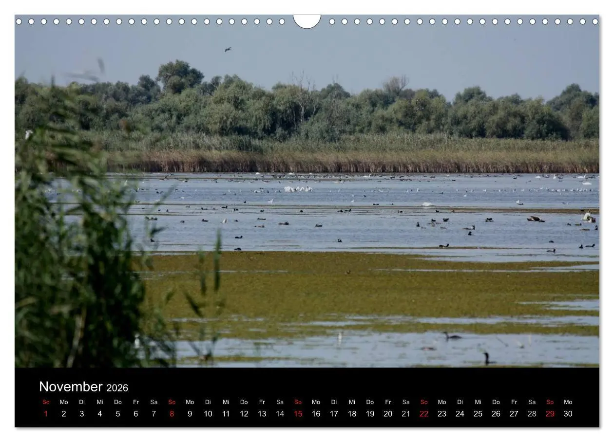 Bild: 9783516168983 | Donaudelta (Wandkalender 2026 DIN A3 quer), CALVENDO Monatskalender