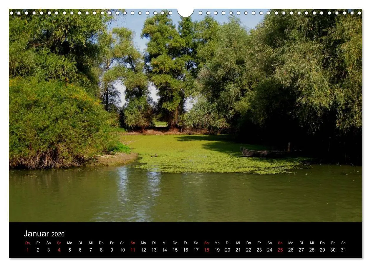 Bild: 9783516168983 | Donaudelta (Wandkalender 2026 DIN A3 quer), CALVENDO Monatskalender