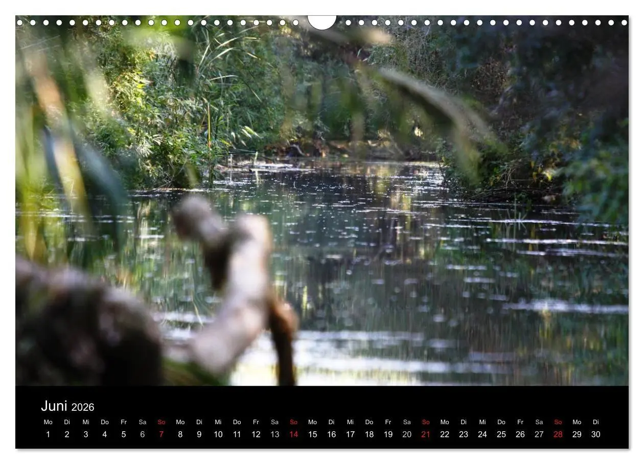 Bild: 9783516168983 | Donaudelta (Wandkalender 2026 DIN A3 quer), CALVENDO Monatskalender