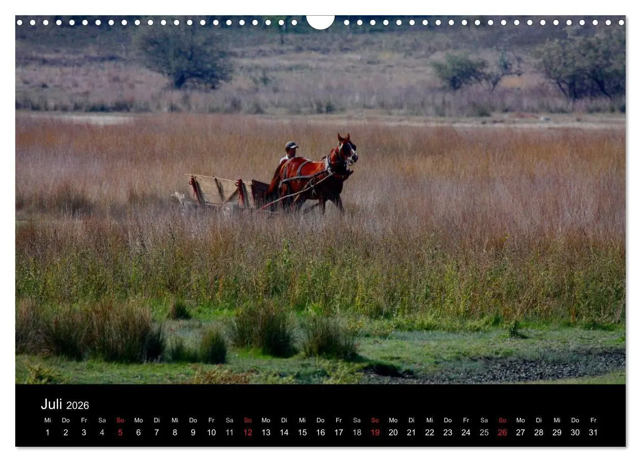 Bild: 9783516168983 | Donaudelta (Wandkalender 2026 DIN A3 quer), CALVENDO Monatskalender