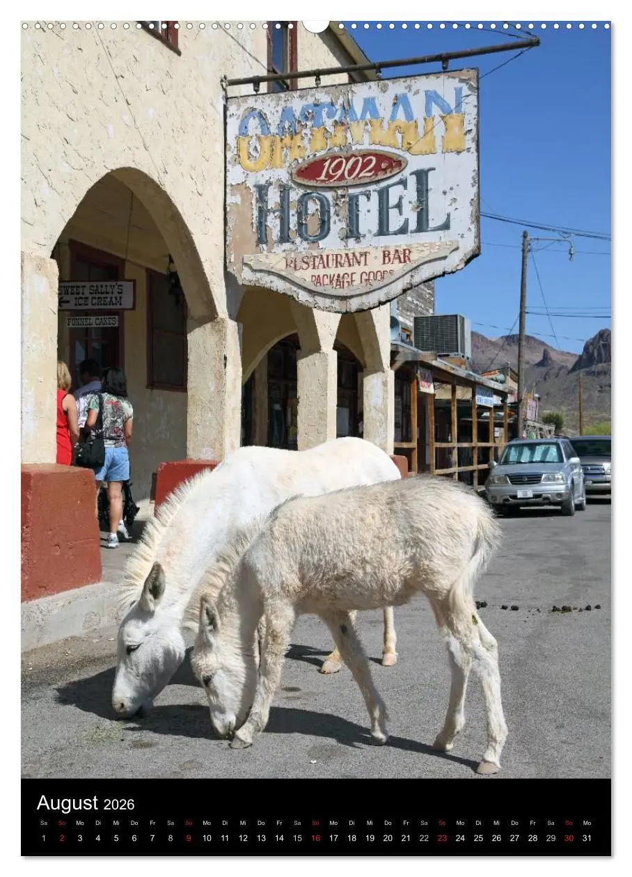 Bild: 9783516478983 | Route 66 (hochwertiger Premium Wandkalender 2026 DIN A2 hoch),...