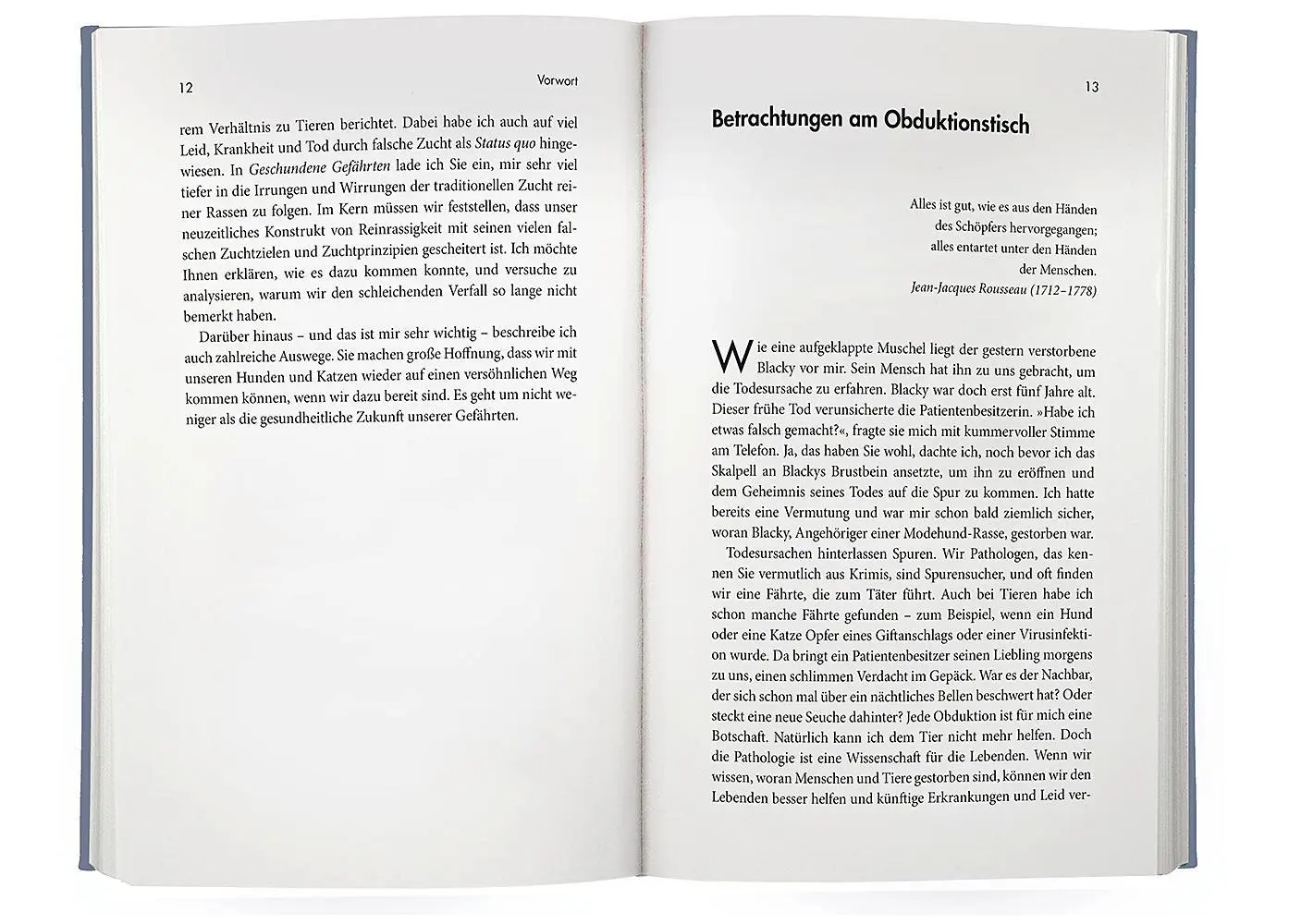 Bild: 9783426279083 | Geschundene Gefährten | Achim Gruber | Buch | 288 S. | Deutsch | 2023