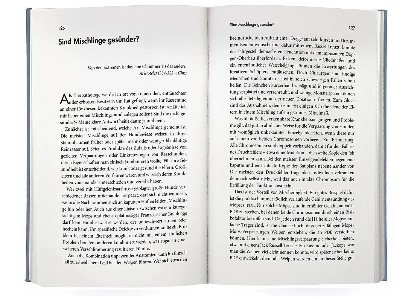 Bild: 9783426279083 | Geschundene Gefährten | Achim Gruber | Buch | 288 S. | Deutsch | 2023