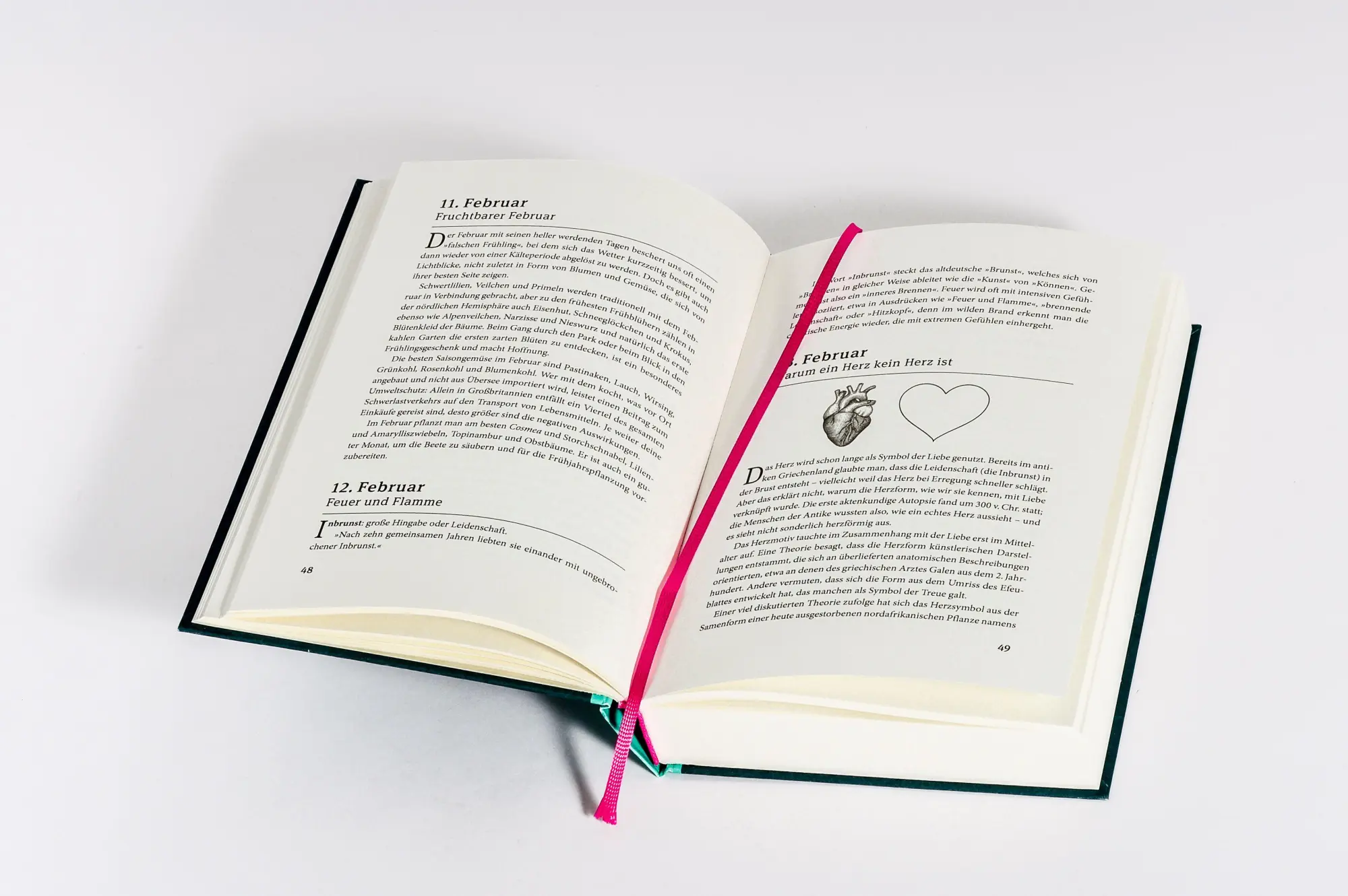 Bild: 9783453219083 | Ein Jahr des Staunens | 365 Wissenswunder für Neugierige | Buch | 2025