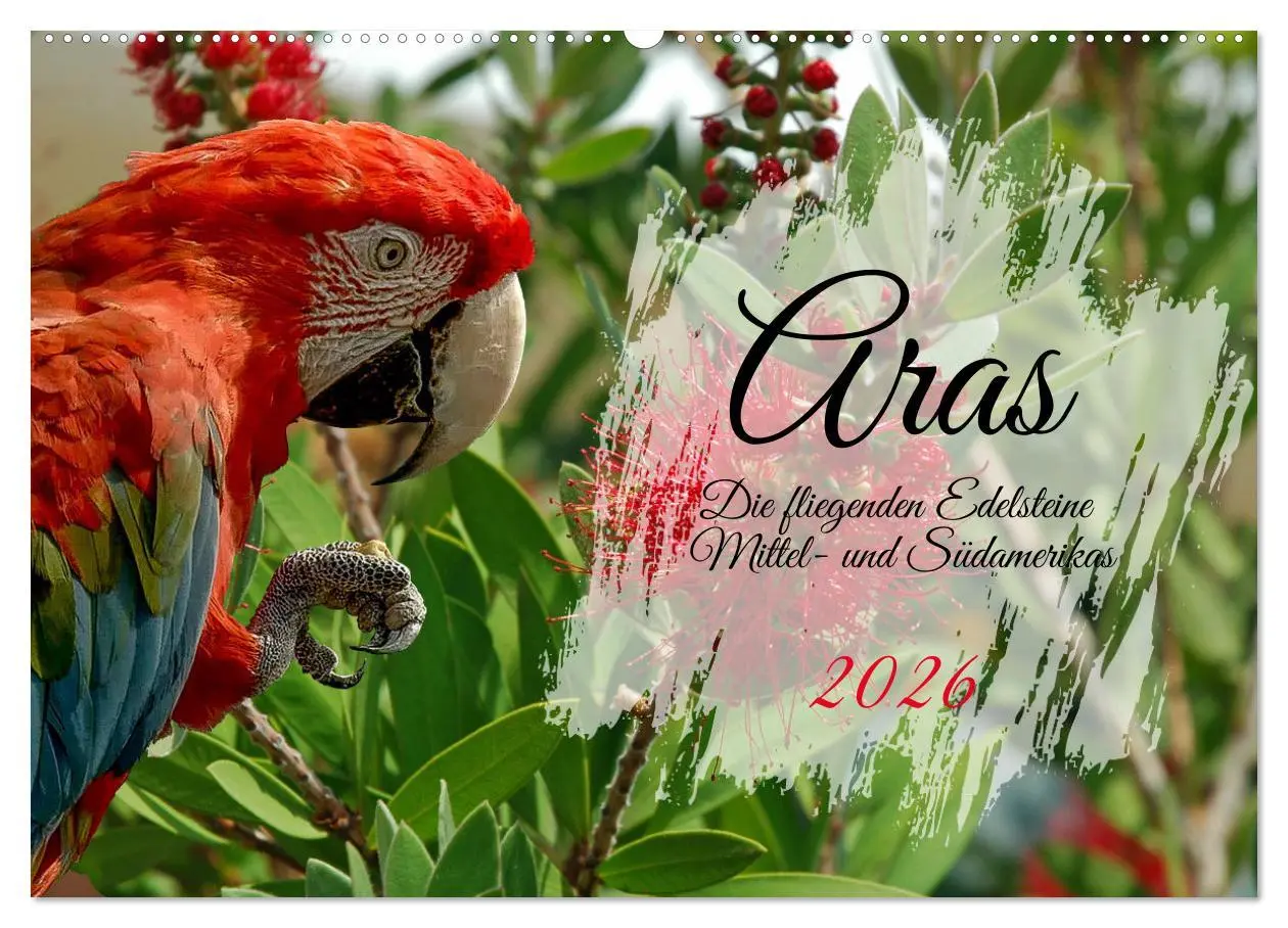 Cover: 9783457589083 | Aras - die fliegenden Edelsteine Mittel- und Südamerikas...