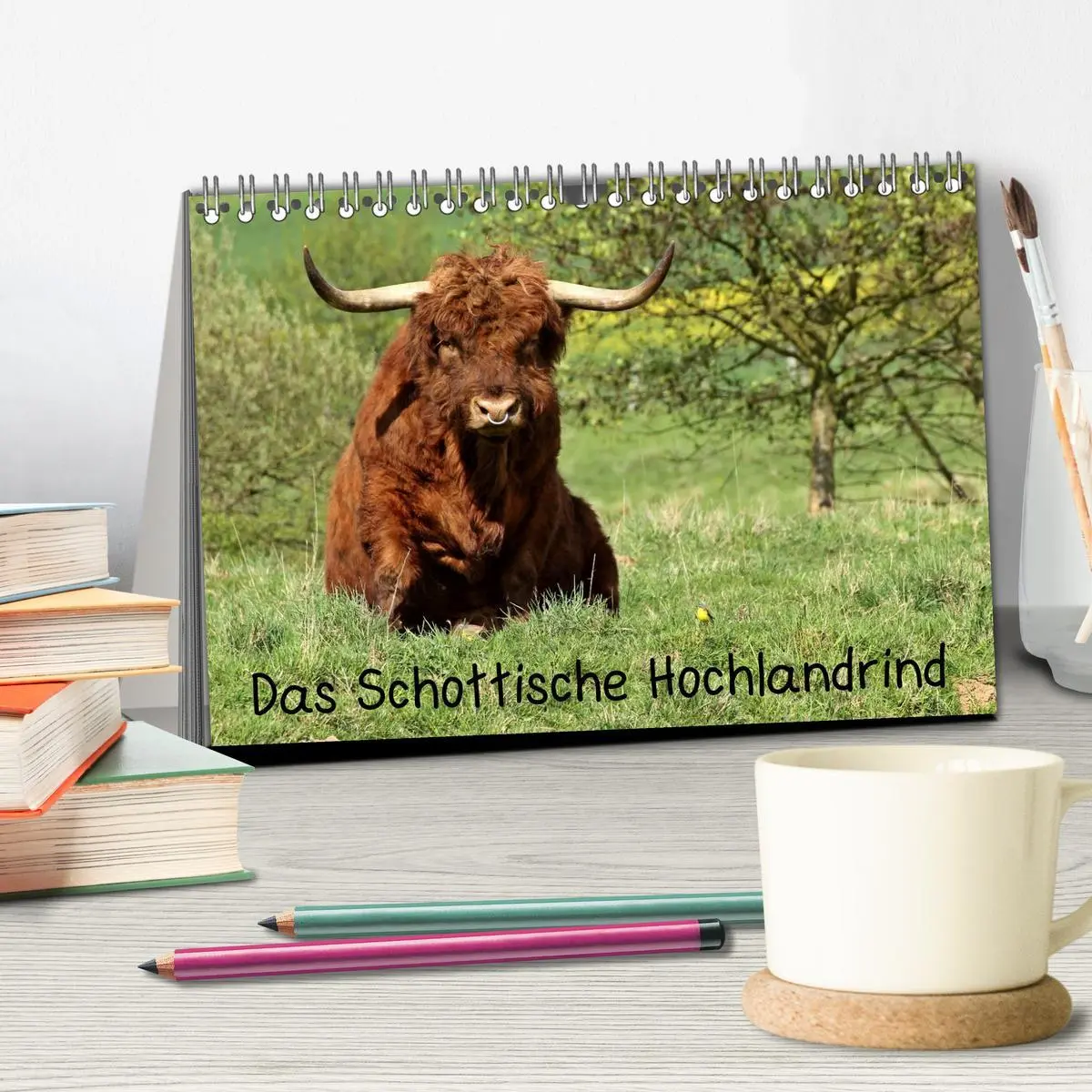 Bild: 9783457969083 | Das Schottische Hochlandrind (Tischkalender 2026 DIN A5 quer),...