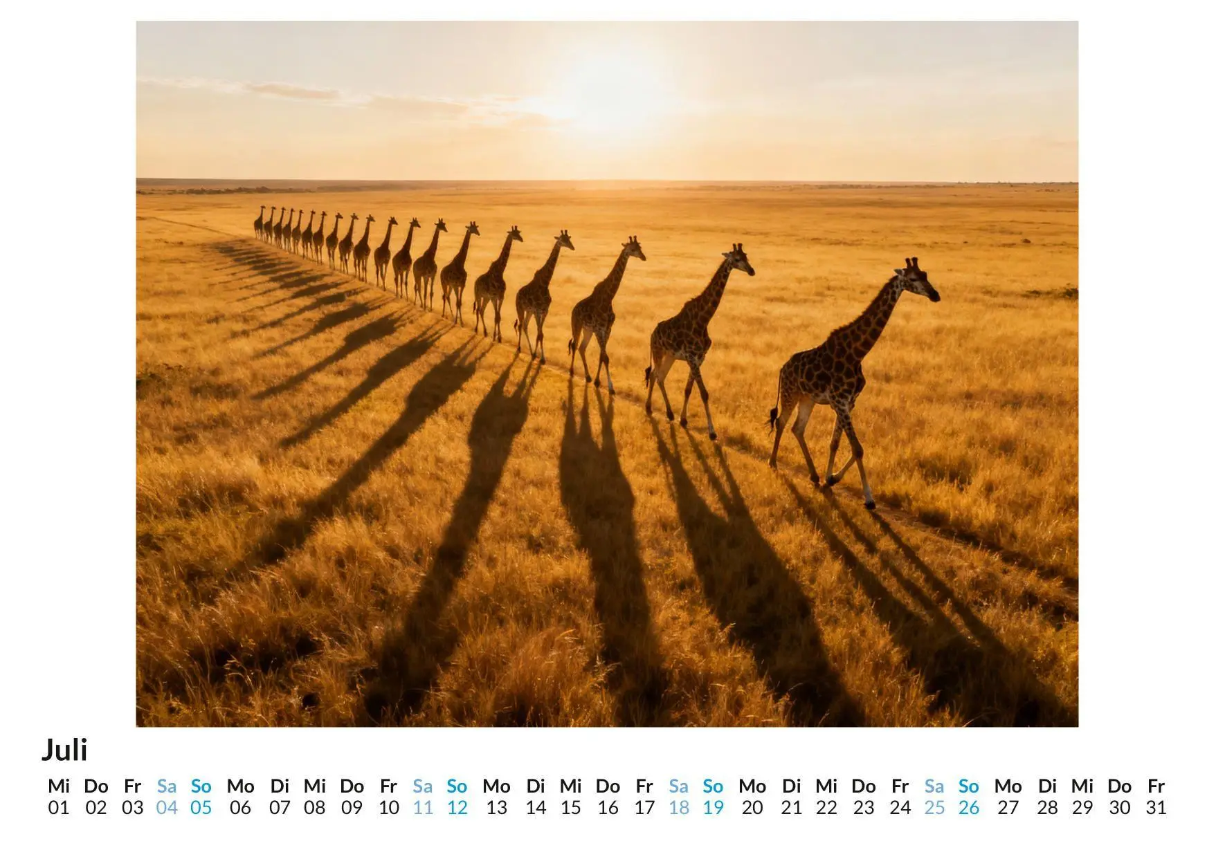 Bild: 9783695329083 | Giraffe | Elias Scholz | Kalender | Deutsch | 2026 | FlipFlop