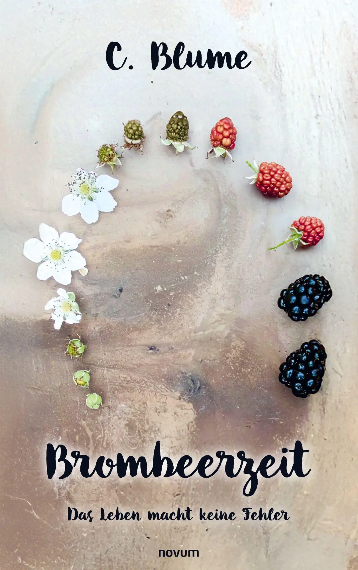 Cover: 9783711609083 | Brombeerzeit | Das Leben macht keine Fehler | C. Blume | Taschenbuch